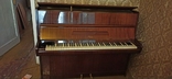 Rosler Piano, Acoustic Piano, photo number 2