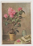 Квіти натюрморт Німеччина 1930і, фото №2
