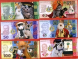 Królik kot zając banknot 20 szt, numer zdjęcia 2
