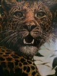 Леопард, фото №3