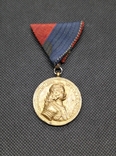 Медаль на честь визволення Верхньої Угорщини в 1938 році, фото №2
