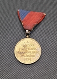 Медаль на честь визволення Верхньої Угорщини в 1938 році, фото №6