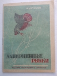"Лабиринтовьіе рьібки"1948г., фото №2