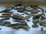 Fragments of mammoth tusk., photo number 6