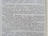 Определитель ювелирных камней Солодова Андреенко Гранадчикова, фото №6