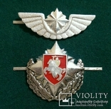 Бкб погоня / пагоня бчб / серебристо-белая пара алюм кокард на фуражку ВВС авиа cap badge, фото №2