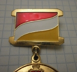 Медаль 75 років перемоги місто-герой Одеса., фото №3