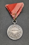 Срібна медаль за хоробрість II ступеня Fortitudini, фото №9