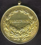 Медаль " За храбрость" Австро-Венгрия, времен Карла I, фото №3