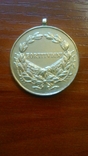 Медаль " За храбрость" Австро-Венгрия, времен Карла I, фото №5