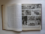 Yearbook of the Great Soviet Encyclopedia, 1981., photo number 4