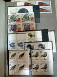 Альбом с марками разное 1982 квартблоки(93шт)/ единичные марки(96шт)/блоки(26шт), фото №8