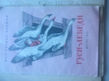Три книжки,цапля,1957год,гуси лебеди 1962год,и сказки Бирмы 1958год., фото №8