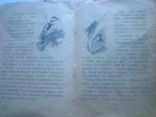 Три книжки,цапля,1957год,гуси лебеди 1962год,и сказки Бирмы 1958год., фото №13
