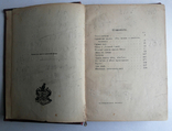 Немирович-Данченко Василий Иванович Очаги свободы Собрание сочинений т 10, фото №5
