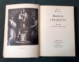 Madona s Harpyjemi Fred Brence 1970 Book with Illustrations in Czech, photo number 8