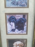 Картинка в раме Декор настенный Собаки Щенки в под стеклом № 2, 40,5х21 см, фото №6
