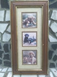 Картинка в раме Декор настенный Собаки Щенки в под стеклом № 1, 40,5х21 см, фото №2