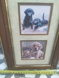 Картинка в раме Декор настенный Собаки Щенки в под стеклом № 1, 40,5х21 см, фото №8