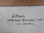 Дендро парк.Тростенец.Народный художник А.Шкурко.1955г., фото №7