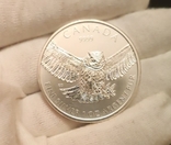 Removal of milk stains on silver coins., photo number 7