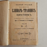 1900 г. Цветник, травник., фото №3