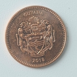 Гайана 5 долларов 2018, фото №3