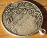 Медаль «Фрак» за порятунок срібної копії, що гине, фото №5