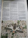 Илюстрированая Книга рекордов Гиннесса 1991 год, фото №3