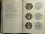 742.14 Микроскопия. Zeitschrift fur wissenschaftliche Mikroskopie Dr. W.J. Behrens 1900.t., фото №12