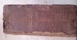 Енциклопедичний словник 1910 Павленкова, фото №4