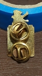 Regimental badge on the ceremonial shoulder straps of the US Army (D8), photo number 3