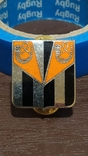 Regimental badge on the ceremonial shoulder straps of the US Army (D8), photo number 2