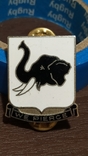 Regimental badge on the ceremonial shoulder straps of the US Army (D8), photo number 2