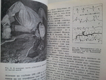 There, for Demerdzhi. From Belogorsk to Sudak. Caves of Crimea. 3 books, photo number 4