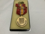 Медаль та планка За службу в Національній обороні США, фото №3