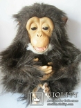  Інтерактивна мавпочка хоче іграшку Hasbro на ручках, фото №2