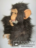  Інтерактивна мавпочка хоче іграшку Hasbro на ручках, фото №8
