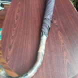 Umbrella VALENTINO (cane), photo number 8