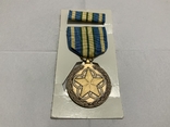 Медаль за выдающуюся службу добровольцем США, фото №2