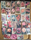 34 листівки СРСР. Квіти, фото №2