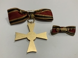 Орден За заслуги перед Федеративною Республікою Німеччина для жінок, фото №5