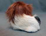 Pekingese antique toy figurine dog natural fur, photo number 4