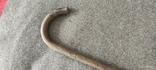 Antique wooden cane, photo number 6