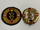 Знак и нашивка Internationaler Volkssportverband, фото №2