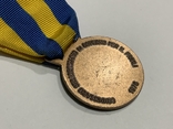 Медаль Рятувальника 1976 рік Італія, фото №6
