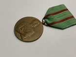 Медаль Нескорених Бельгія, фото №6