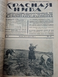 Журнал Красная Нива 1924 год, фото №2