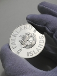 50 пенсов Фолклендские острова 1983 года 150 лет серебро, фото №3