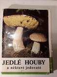 JEDLE HOUBY a nektere jedovate (Съедобные грибы и некоторые ядовитые), фото №2